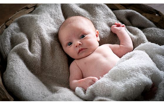 Newborn Photography 